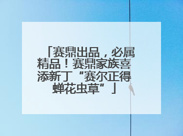 赛鼎出品，必属精品！赛鼎家族喜添新丁“赛尔正得蝉花虫草”