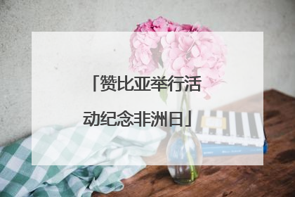 赞比亚举行活动纪念非洲日