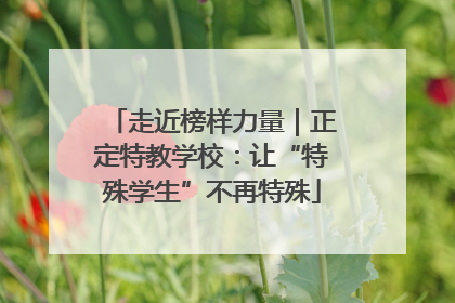 走近榜样力量｜正定特教学校：让“特殊学生”不再特殊