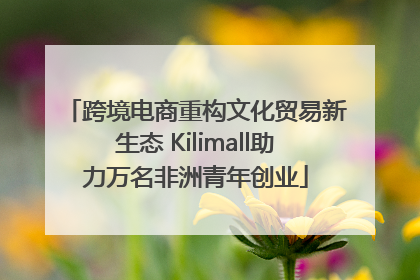 跨境电商重构文化贸易新生态 Kilimall助力万名非洲青年创业