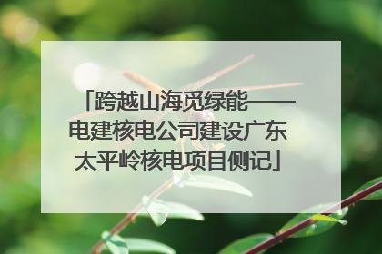 跨越山海觅绿能——电建核电公司建设广东太平岭核电项目侧记