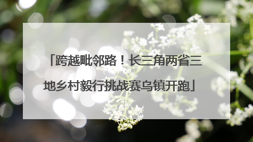 跨越毗邻路！长三角两省三地乡村毅行挑战赛乌镇开跑
