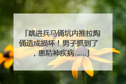 跳进兵马俑坑内推拉陶俑造成损坏！男子抓到了，患精神疾病……