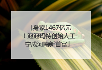 身家1467亿元！泡泡玛特创始人王宁成河南新首富