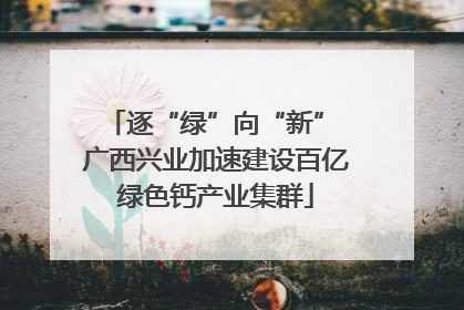 逐“绿”向“新” 广西兴业加速建设百亿绿色钙产业集群