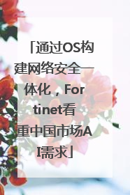 通过OS构建网络安全一体化，Fortinet看重中国市场AI需求