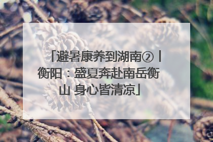 避暑康养到湖南②丨衡阳：盛夏奔赴南岳衡山 身心皆清凉