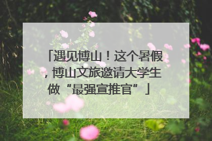 遇见博山！这个暑假，博山文旅邀请大学生做“最强宣推官”