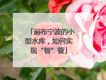 遍布宁波的小型水库，如何实现“智”管