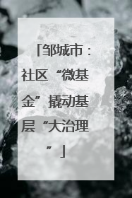 邹城市：社区“微基金”撬动基层“大治理”