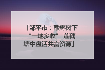 邹平市：酸枣树下“一地多收” 莲藕塘中盘活共富资源