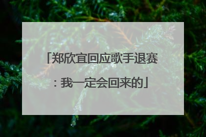 郑欣宜回应歌手退赛：我一定会回来的