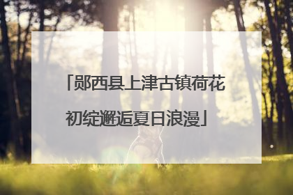 郧西县上津古镇荷花初绽邂逅夏日浪漫