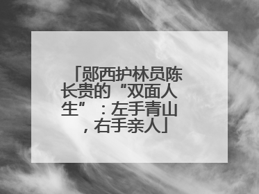 郧西护林员陈长贵的“双面人生”：左手青山，右手亲人