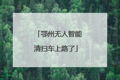 鄂州无人智能清扫车上路了