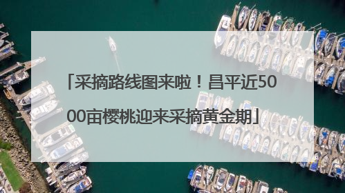 采摘路线图来啦！昌平近5000亩樱桃迎来采摘黄金期