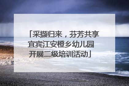 采撷归来，芬芳共享 宜宾江安橙乡幼儿园开展二级培训活动