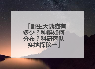 野生大熊猫有多少？种群如何分布？科研团队实地探秘→
