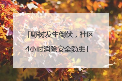 野树发生倒伏，社区4小时消除安全隐患