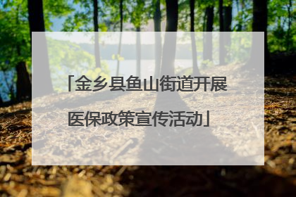 金乡县鱼山街道开展医保政策宣传活动