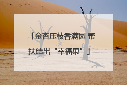 金杏压枝香满园 帮扶结出“幸福果”