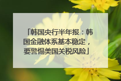 韩国央行半年报：韩国金融体系基本稳定，要警惕美国关税风险