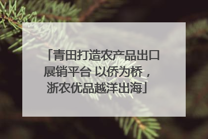 青田打造农产品出口展销平台 以侨为桥，浙农优品越洋出海