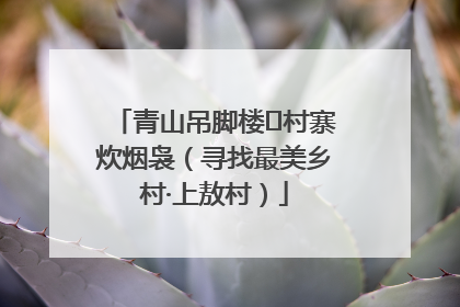 青山吊脚楼 村寨炊烟袅（寻找最美乡村·上敖村）