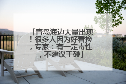 青岛海边大量出现！很多人因为好看捡，专家：有一定毒性，不建议手碰