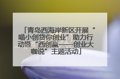 青岛西海岸新区开展“喵小创贷你创业”助力行动暨“西创赢——创业大咖说”主题活动