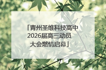 青州圣维科技高中2026届高三动员大会燃情启幕