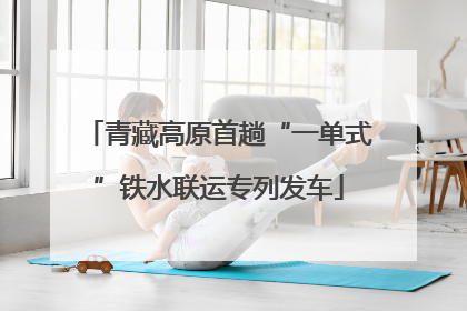 青藏高原首趟“一单式”铁水联运专列发车