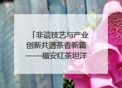 非遗技艺与产业创新共谱茶香新篇——福安红茶坦洋工夫专场推介会在京举办