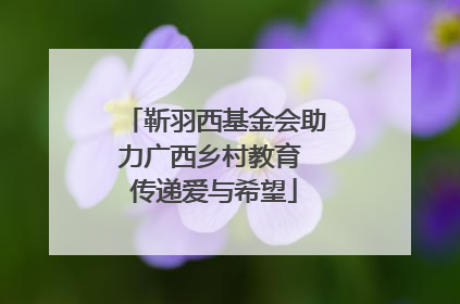靳羽西基金会助力广西乡村教育 传递爱与希望