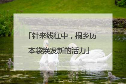 针来线往中，桐乡历本袋焕发新的活力