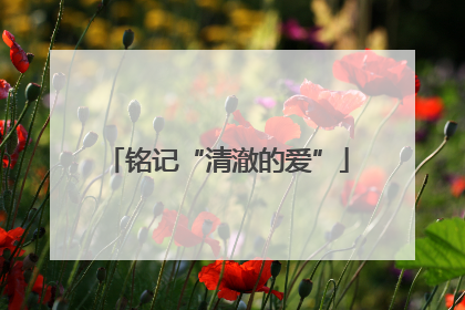 铭记“清澈的爱”
