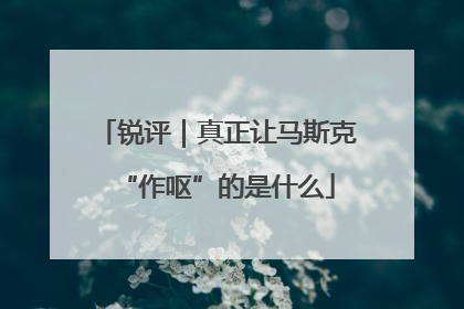 锐评｜真正让马斯克“作呕”的是什么