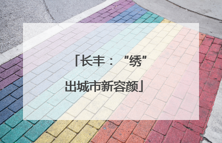 长丰：“绣”出城市新容颜