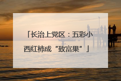 长治上党区：五彩小西红柿成“致富果”