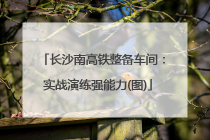 长沙南高铁整备车间：实战演练强能力(图)