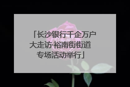 长沙银行千企万户大走访·裕南街街道专场活动举行