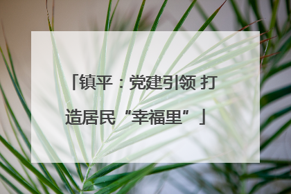 镇平：党建引领 打造居民“幸福里”