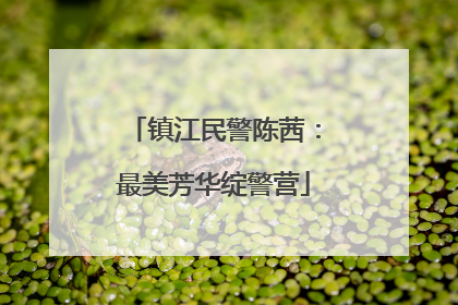镇江民警陈茜：最美芳华绽警营