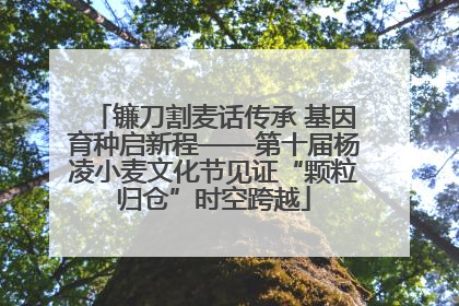 镰刀割麦话传承 基因育种启新程——第十届杨凌小麦文化节见证“颗粒归仓”时空跨越