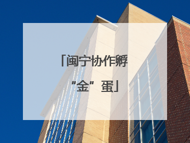 闽宁协作孵“金”蛋