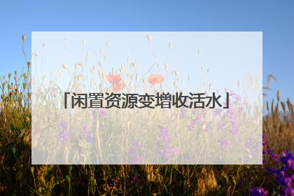 闲置资源变增收活水
