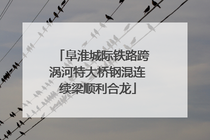 阜淮城际铁路跨涡河特大桥钢混连续梁顺利合龙