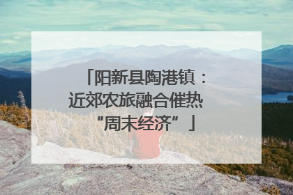 阳新县陶港镇：近郊农旅融合催热“周末经济”