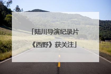 陆川导演纪录片《西野》获关注
