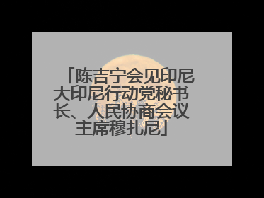陈吉宁会见印尼大印尼行动党秘书长、人民协商会议主席穆扎尼